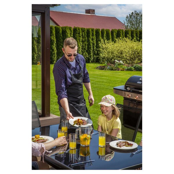 Gas grill 3 burners