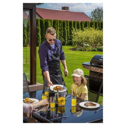 Gas grill 3 burners