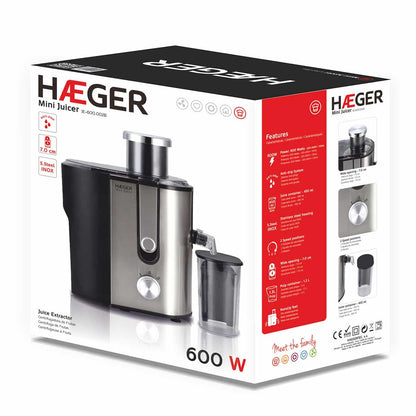 Mini Juicer Blender