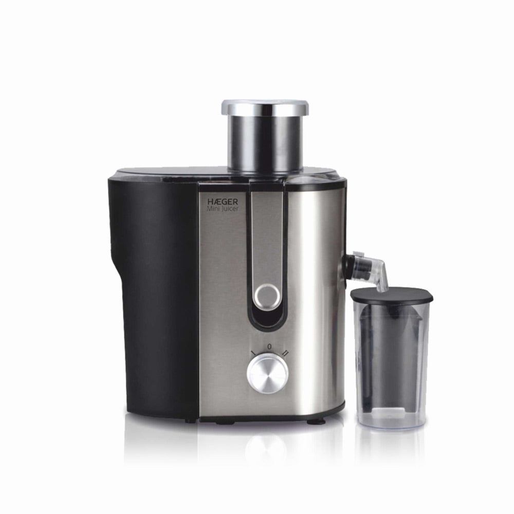 Mini Juicer Blender