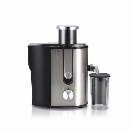 Mini Juicer Blender
