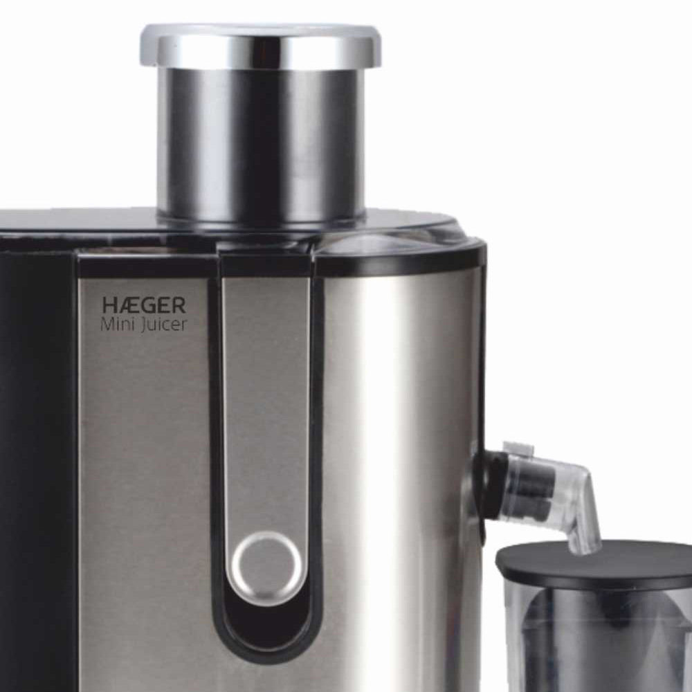 Mini Juicer Blender