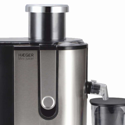Mini Juicer Blender